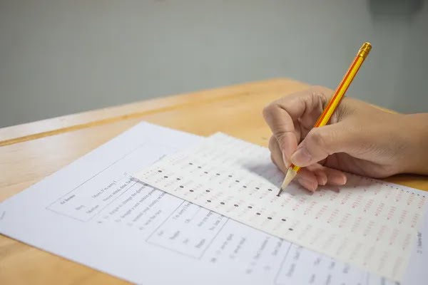 Publicado edital de Processo Seletivo dos Membros do Conselho Tutelar de Ipiaú