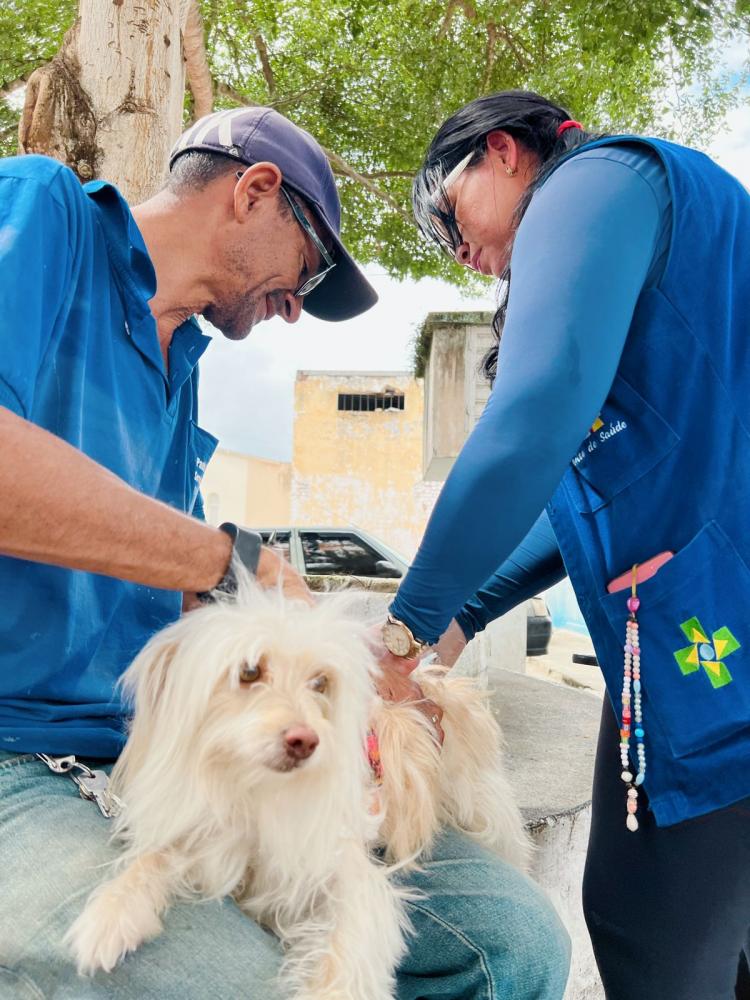 Campanha de Vacinação contra a Raiva foi iniciada em Ipiaú