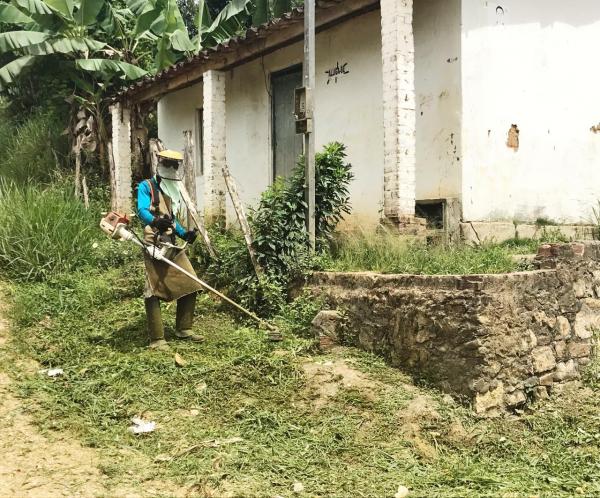 Secretaria de Desenvolvimento Urbano intensifica serviços de limpeza e poda de árvores 