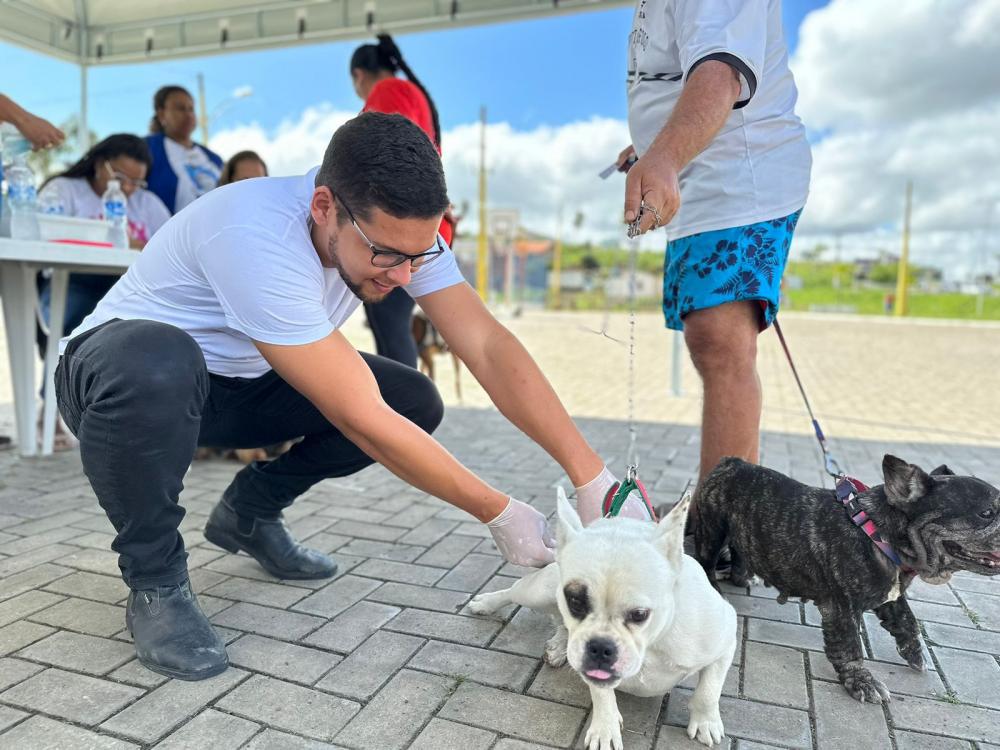 Audiência pública vai debater saúde e proteção animal em Ipiaú