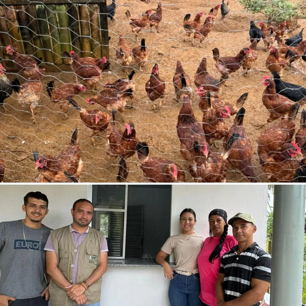 Visita Técnica avalia futuro entreposto de ovos caipiras na zona rural de Ipiaú