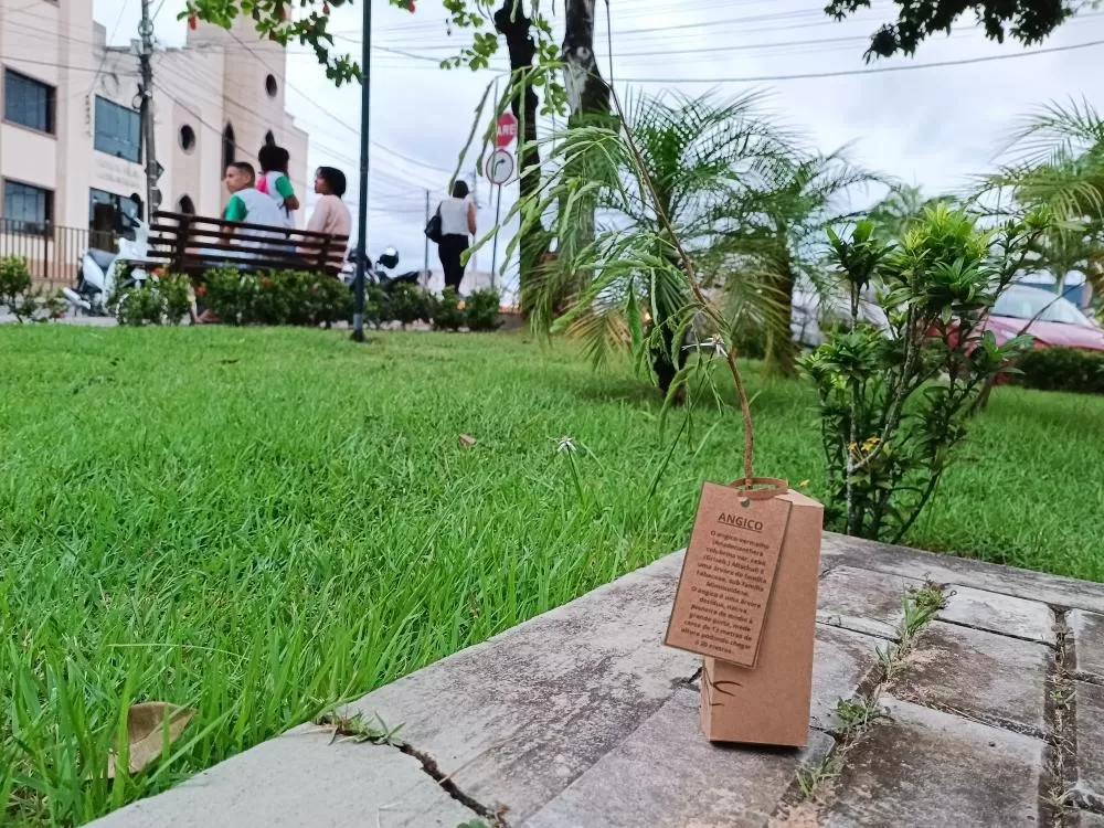 Prefeitura de Ipiaú celebra a Semana do Meio Ambiente com diversas atividades