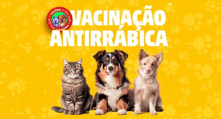 Vacinação Antirrábica terá início amanhã (06/08) em Ipiaú; proteja seu melhor amigo. Vacinar é um ato de cuidado e responsabilidade
