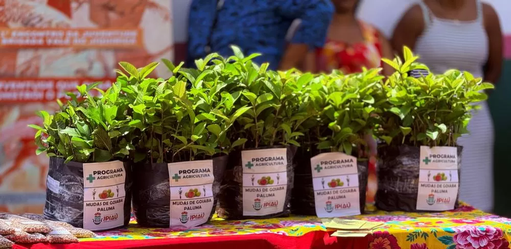 Prefeitura de Ipiaú fortalece a agricultura familiar com entrega de mudas e sementes