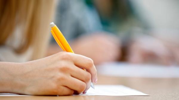 Instituto abre processo seletivo para estagiários na prefeitura na próxima segunda (10)