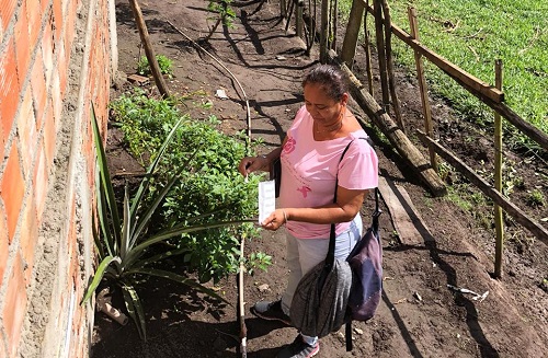 Secretaria de Saúde intensifica o combate à dengue