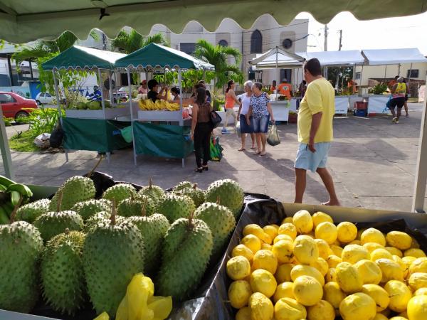 Feira da Agricultura Familiar voltará a ser realizada em Praça Pública 