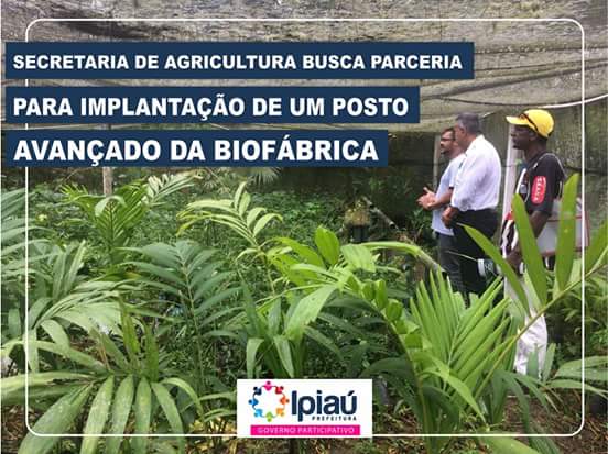 Secretaria de Agricultura busca parceria para implantação de um posto avançado da Biofábrica