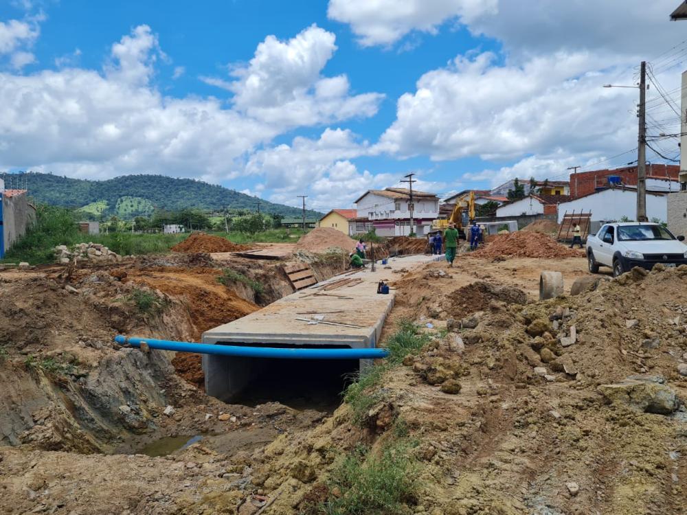 Inema autoriza a retirada de vegetação em área do ACM para andamento de obra de macrodrenagem