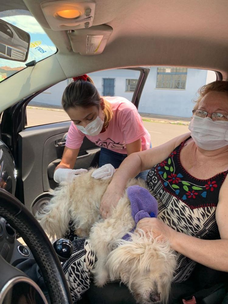 Vacinação antirrábica para cães e gatos vai até 17 de setembro em Ipiaú