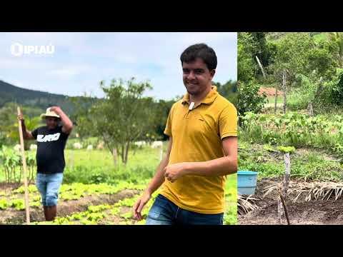 Saiba o impacto do Programa de Aquisição de Alimentos (PAA) em Ipiaú